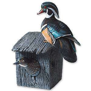  Nesting Wood Duck Pair with House