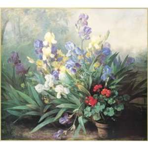  Irises And Geranium Poster Print