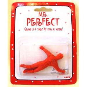  Valentines Mr. Perfect Grow a Boyfriend Toy Toys & Games