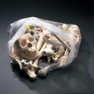 12lb Bag of Bones Bucky Skeleton Human Halloween Prop  