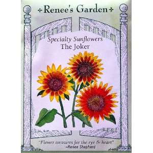  Sunflower Seeds the Joker 25 Seeds Patio, Lawn & Garden