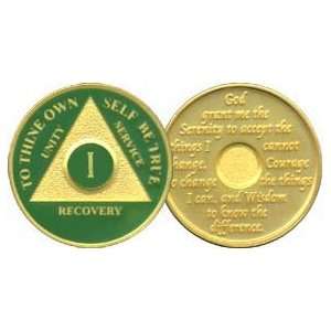   Anniversary Recovery Medallion / Coin / Chip   Green 
