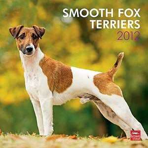  2012 Smooth Fox Terriers Calendar