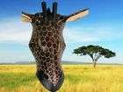 Serengeti Giraffe Jacaranda Wall Mask