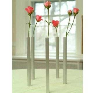  DCI Magnetic Bud Vases, Set of 5
