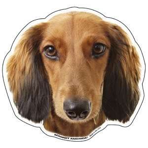  Longhaired Dachshund Magnet Automotive