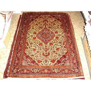 3x5 Hand Knotted Jozan Persian Rug   53x37 