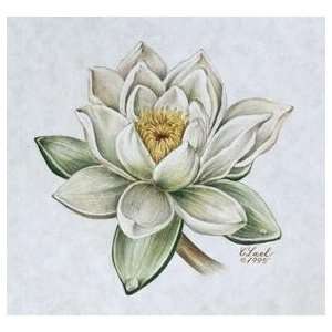  July S Flower, Waterlily Poster Print