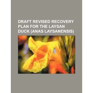 Draft revised recovery plan for the Laysan duck (Anas laysanensis)