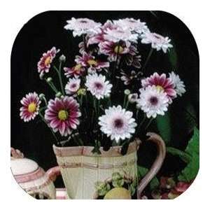   Coasters Country Flower/Flowers/Floral   (CSFL 105)