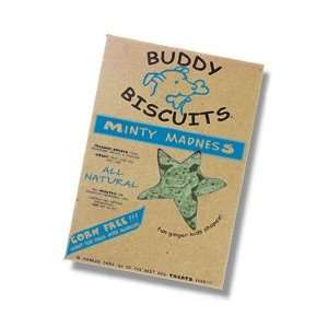  Buddy Biscuits Minty Flavor Dog Treats