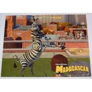 MADAGASCAR   Movie Poster Print   11 x 14 inches   Chris Rock, Ben 