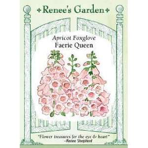    Foxglove   Apricot Faerie Queen Seeds Patio, Lawn & Garden