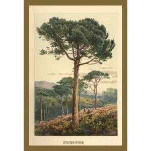 Stone Pine   12x18 Framed Print in Gold Frame (17x23 finished)  