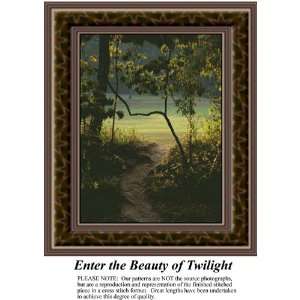  Enter the Beauty of Twilight, Counted Cross Stitch 