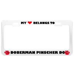  A Doberman Pinscher Dog Pet White Metal License Plate 