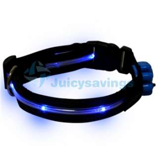 Amazing Flashing Blue LED Dog Pet Nylon Safety Collar  