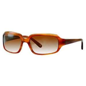  Best Quality Vera Wang V84 Womens Sunglasses   Tortoise 