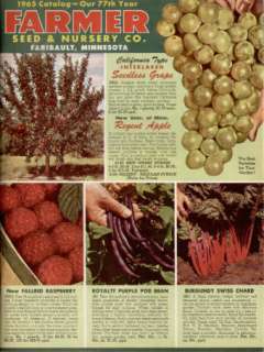 Faribault MN Farmer Seed & Nursery Flower Catalog 1965  