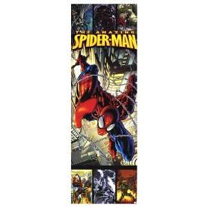  Spider Man Movie Poster, 21 x 62 (2002)
