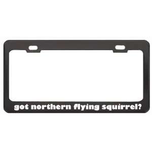 Got Northern Flying Squirrel? Animals Pets Black Metal License Plate 