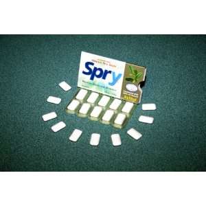  Xlear   Spry Chewing Gum with Xylitol Green Tea   10 Piece 