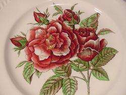 JOHNSON BROTHERS OLD FLOWER PRINTS ROSE DINNER PLATE(S)  
