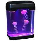 jellyfish aquarium  