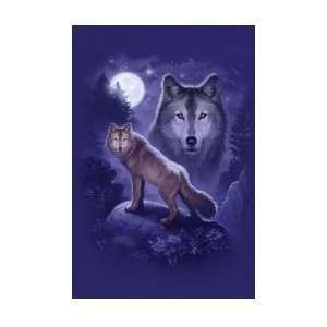 Animals Posters Wolf Spirit   Wolf Spirit Poster   91.5x61cm  