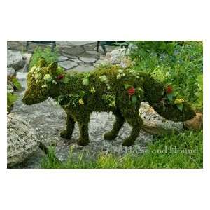  Garden Fox Topiary