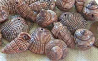 Vintage Lot Lucite Seashell Shell Charms Beads Pendants  