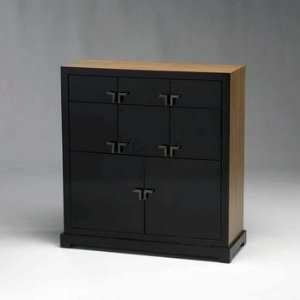  Lighting 01859 Zebra Wood Cabinet, Gloss Black and Zebra Wood Finish