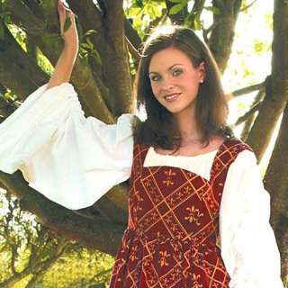 Fleur de Lis Dress + Chemise Renaissance Faire Costume  