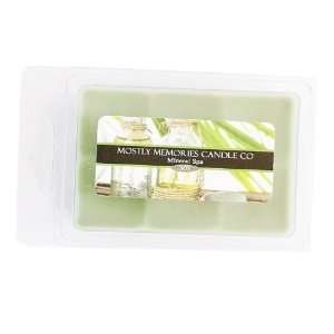  Mostly Memories Mineral Spa 1 1/2 Ounce Soy Melts