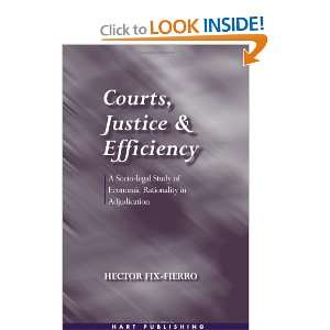 Courts Justice and Efficiency A Socio legal Study of Economic 