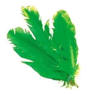  Pams Craft Feathers  Indian Feathers 10 Pack Of 5 Green 