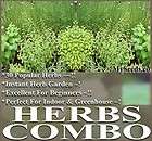 ANISE BERGAMOT BORAGE CARAWAY CILANTRO X 31 TYPES COMBO