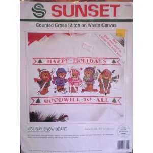  Sunset Counted Cross Stitch on Waste Canvas   Holiday Snow 