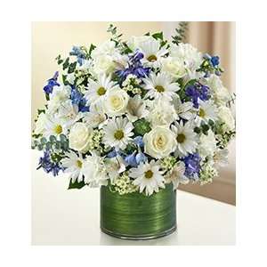   Flowers by 1800Flowers   Cherished Memories   Blue and White   Large
