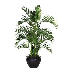 Silk Areca Palm Tree  