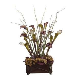 29Hx19Wx18L Pitcher Plant/Lily in Resin Container Burgundy Coffee 