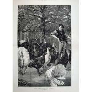   1880 Fine Art Man Feeding Turkey Birds Garden Morris