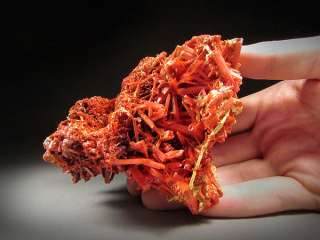 Crocoite, Adelaide Mine, Tasmania  