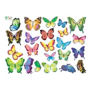 VIVID Color Butterfly Adhesive Removable Wall Home Decor Accents 