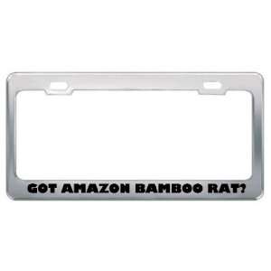 Got  Bamboo Rat? Animals Pets Metal License Plate Frame Holder 