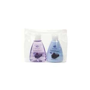  2pc. travel pack   body wash and body lotion   grape Pack 