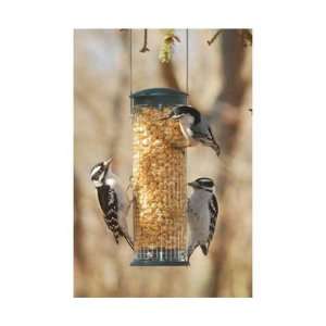   Acrobatic Birds Such As Woodpeckers Chickadees Patio, Lawn & Garden