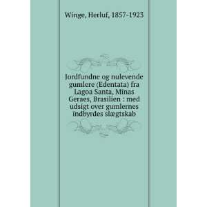   over gumlernes indbyrdes slÃ¦gtskab Herluf, 1857 1923 Winge Books