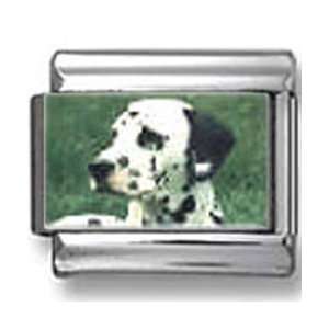  Dalmatian Dog Photo Italian Charm Jewelry