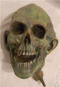 Life Size Detailed Latex over Rigid Foam Skull #2  